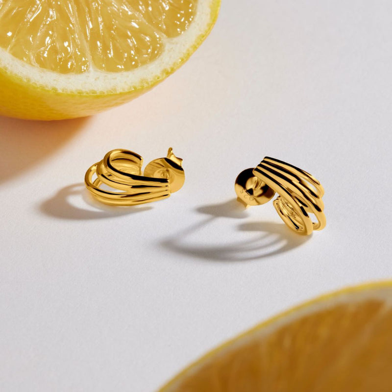 NAJO Vitality Yellow Gold Earrings